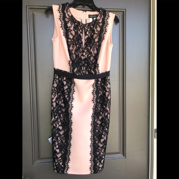 𝅺NEW Tadashi Shoji Gorgeous Dress - Picture 4 of 8